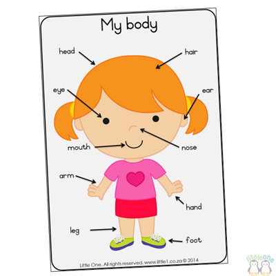 Picture of Theme Wall Chart - My body (girl)