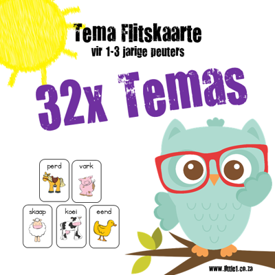 Picture of 160x Tema Flitskaarte vir 1-3 jariges