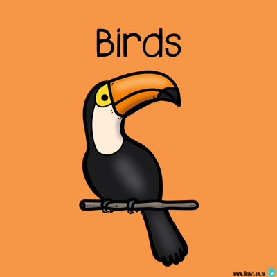 Picture of Theme Activity Book (24) - Birds