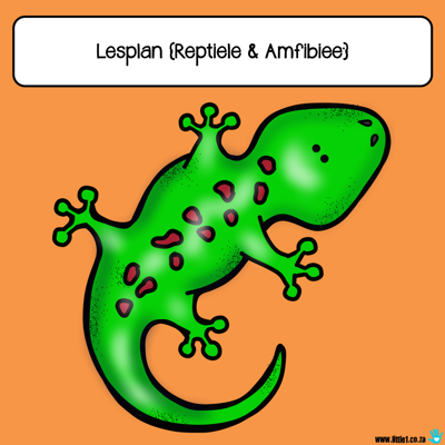 Picture of Tema Lesplan & Aktiwiteite - Reptiele & Amfibieë (20)